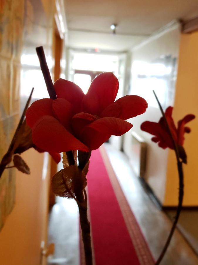 Hostal Torres Del Paine 2 Πούντα Αρένας Εξωτερικό φωτογραφία